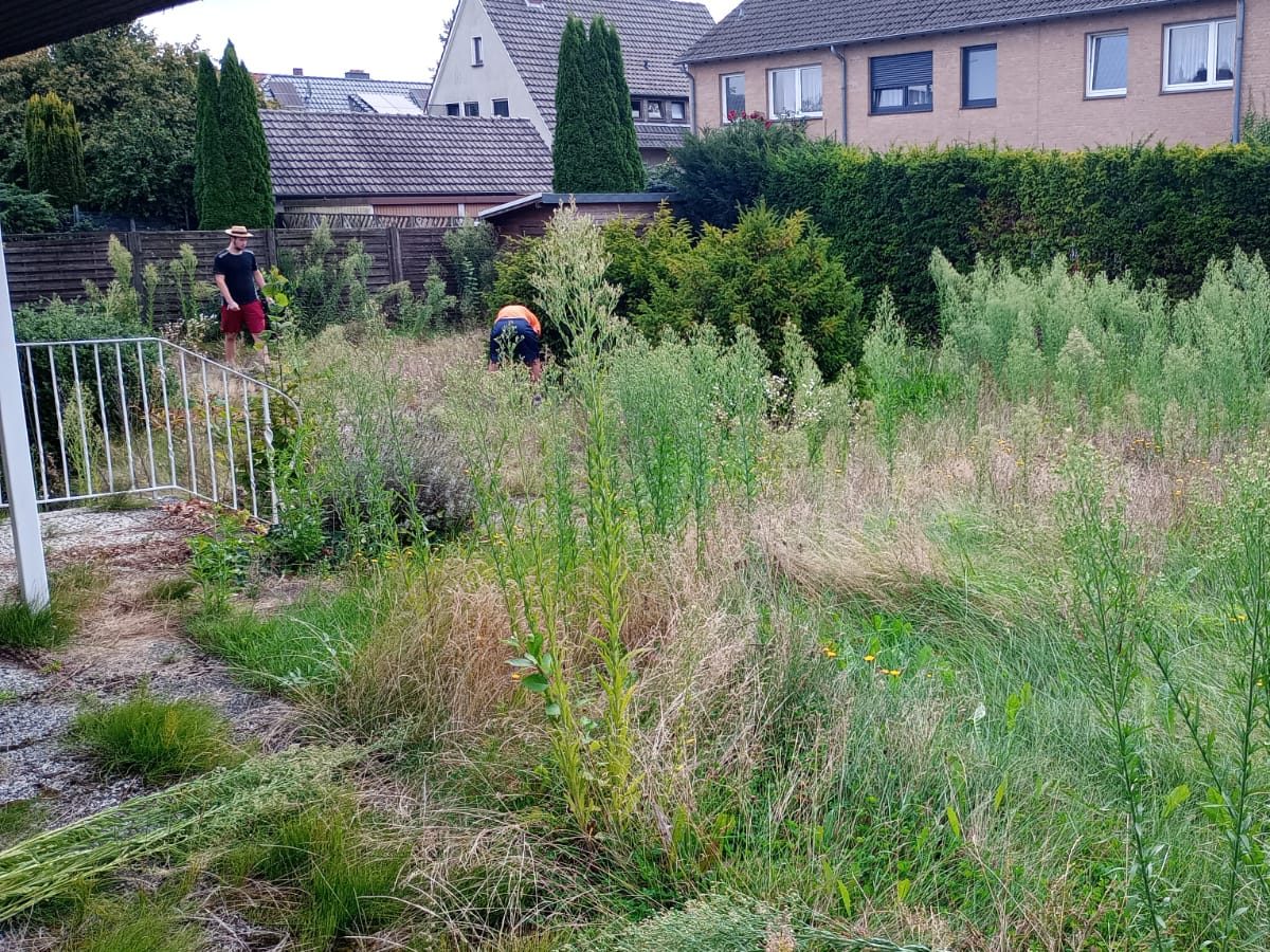 Bild 9